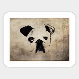 English Bulldog Sticker